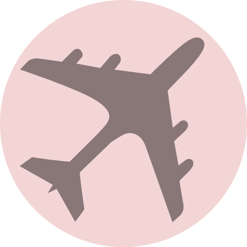 plane icon