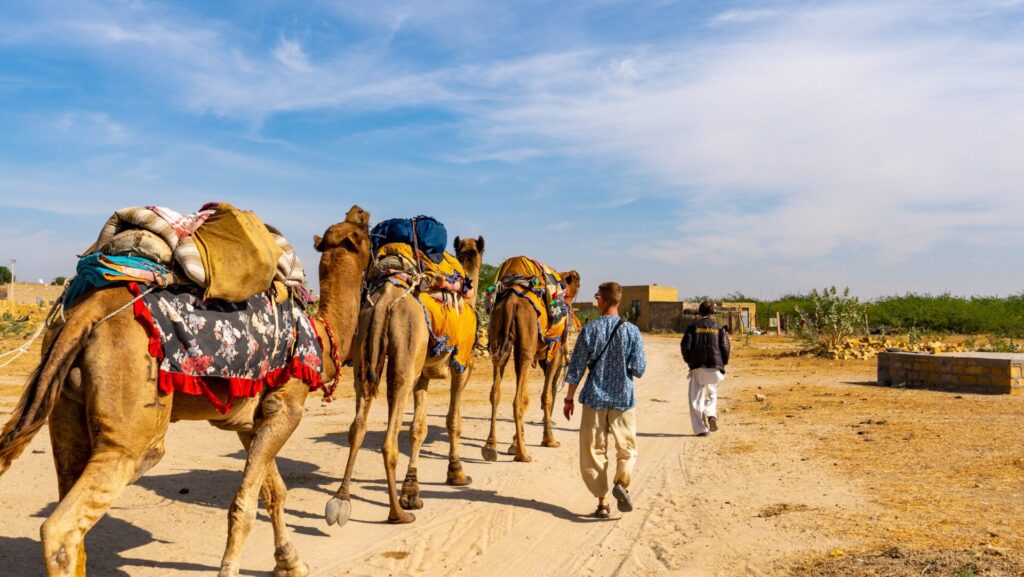 Top things to do in Jaisalmer - Jaisalmer camel ride